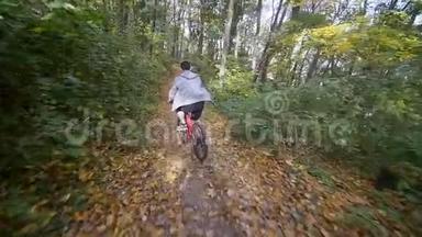 骑自行车的人在森林里<strong>经过</strong>. 骑自行车的人在森林里<strong>经过</strong>. 慢动作